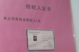 （写真１）不動産仲介会社には資格保有者の証書が飾られている